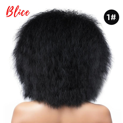 Blice 6Inch Short Synthetic Wigs Kinky Straight Kanekalon Heat Resistant Natural Black Women African American Afro Full Wig